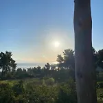 Amazing With Views Sea In *